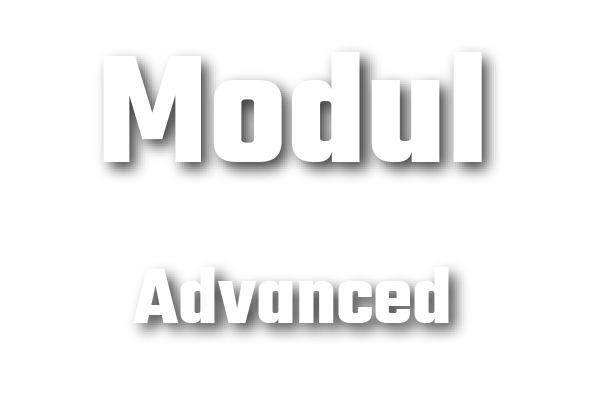 Modul-Advanced-Trans-600-400